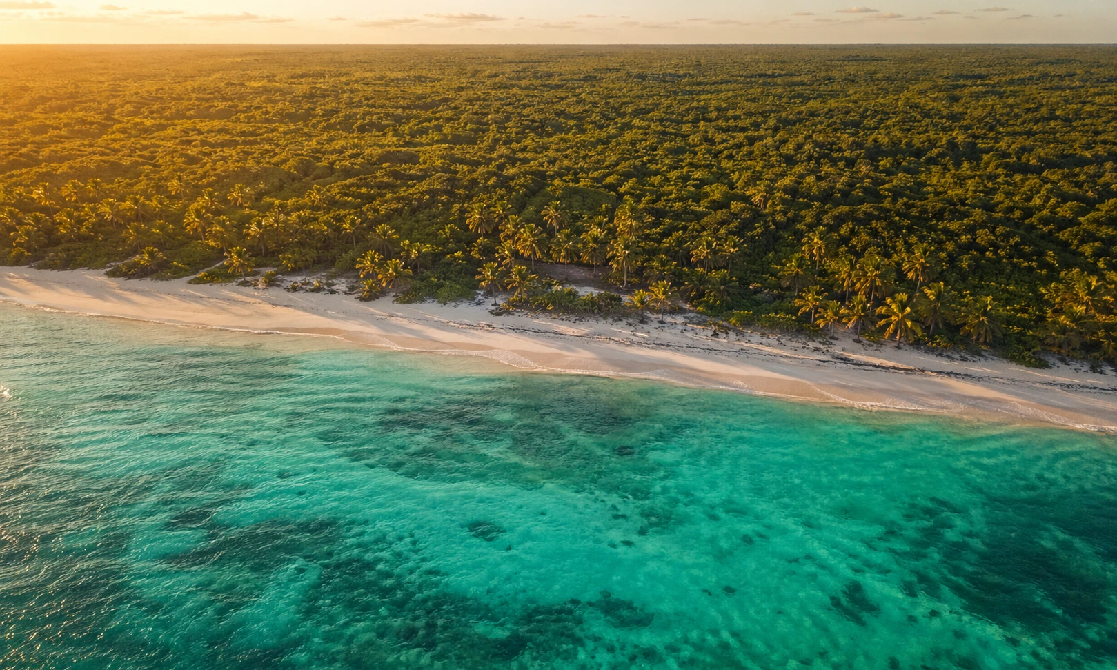 Vista aérea de la costa caribeña mexicana al atardecer, con agua turquesa, arena blanca y selva.